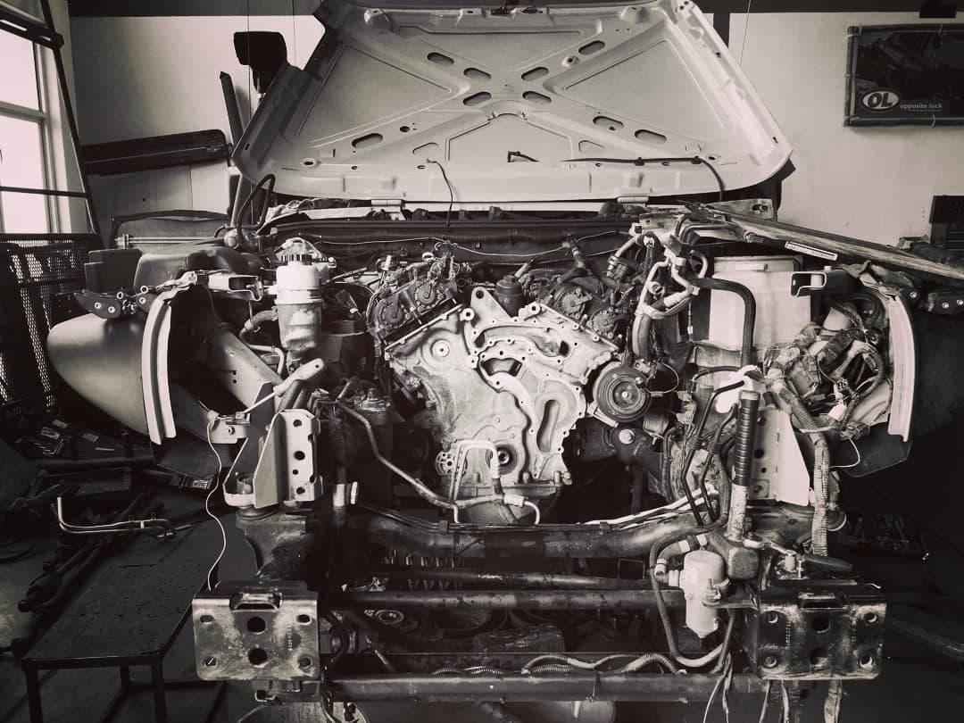 Rhinoman Canopy Standard